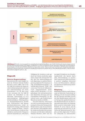 Vorschauseite 3: Intensive Care Unit Acquired Weakness (ICUAW) – von der Intensivstation zur neurologischen Rehabilitation