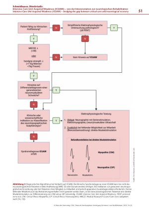 Vorschauseite 5: Intensive Care Unit Acquired Weakness (ICUAW) – von der Intensivstation zur neurologischen Rehabilitation