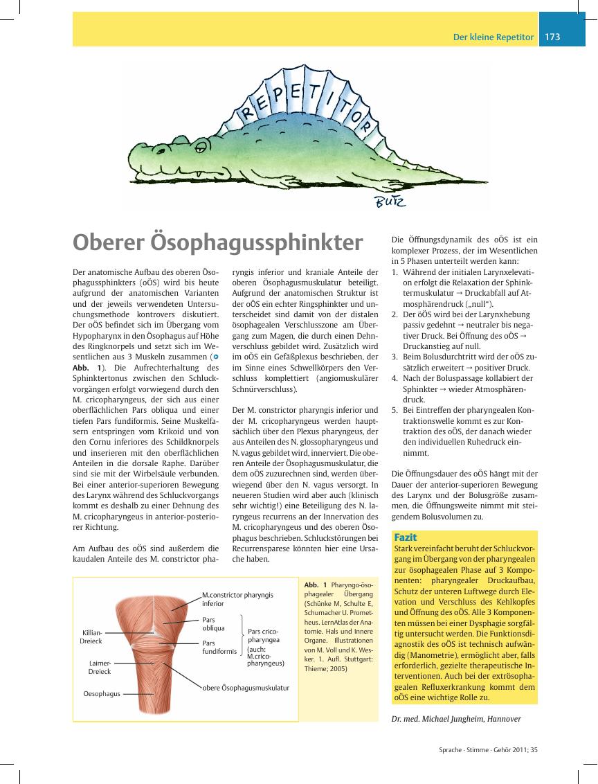 Vorschauseite 1: Oberer Ösophagussphinkter