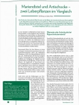 Vorschauseite 1: Mariendistel und Artischocke - zwei Leberpflanzen im Vergleich