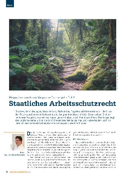 Vorschauseite 1: Wegweiser durch den Vorgaben-Dschungel – Teil 1 Staatliches Arbeitsschutzrecht