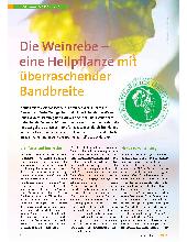 Vorschauseite 1: Die Weinrebe - eine Heilpflanze mit überraschender Bandbreite