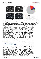Vorschauseite 2: Im Bann der Untätigkeit: Wie Journale auf wissenschaftliches Fehlverhalten (nicht) reagieren