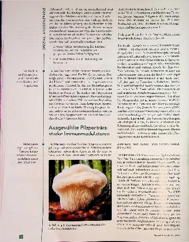 Vorschauseite 3: Beta-Glucane - ein Schlüsselbegriff. Effektive Behandlungserfolge auf ernährungsphysiologischer Basis.