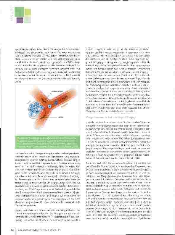 Vorschauseite 2: Das Anwendungspotenzial der Flüssigbiopsie (Liquid Biopsy) in der Klinik