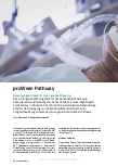Vorschauseite 1: Proven Pathway