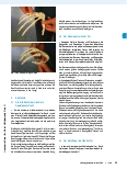 Vorschauseite 2: Das Gewölbeprinzip der Hand funktionell verstehen: Handtherapie nach den Prinzipien der Spiraldynamik.