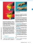 Vorschauseite 4: Das Gewölbeprinzip der Hand funktionell verstehen: Handtherapie nach den Prinzipien der Spiraldynamik.