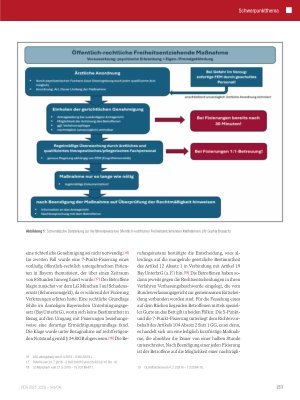 Vorschauseite 4: Die Neuausrichtung freiheitsentziehender Maßnahmen in der somatischen Medizin und Pflege