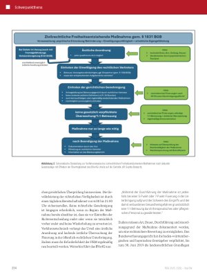 Vorschauseite 5: Die Neuausrichtung freiheitsentziehender Maßnahmen in der somatischen Medizin und Pflege