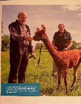 Vorschauseite 1: Landlust am Lebensabend