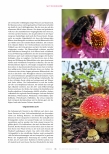 Vorschauseite 3: Zeit für Sammlung und Aufbruch