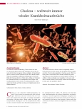 Vorschauseite 1: Cholera - weltweit immer wieder Krankheitsausbrüche