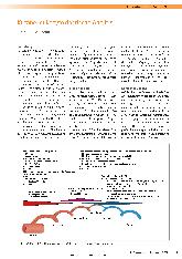 Vorschauseite 1: Kutane leukozytoklastische Angiitis