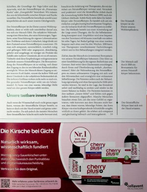 Vorschauseite 2: Balance-Akt Wirksame Selbstfürsorge durch Bewusstsein für den feinstofflichen Körper