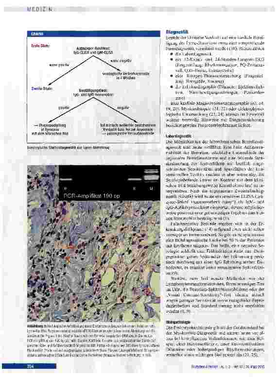 Vorschauseite 3: Diagnostik, Therapie und Prognose der Lyme-Karditis