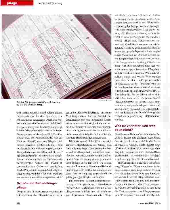 Vorschauseite 3: Pflege mehr professionalität und weniger Regeln