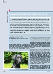 Vorschauseite 1: Tiergestützte Arbeit bei Mixed Pickles e.V.
