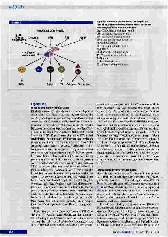 Vorschauseite 2: Sinnvolle Hypophysenstimulationstests