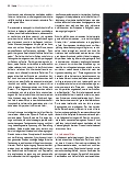 Vorschauseite 3: Eine Orientierungshilfe durch den Irrgarten des Herzens – Teil II