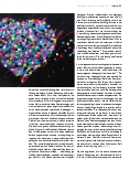Vorschauseite 4: Eine Orientierungshilfe durch den Irrgarten des Herzens – Teil II