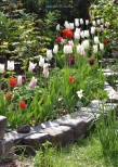 Vorschauseite 1: Der Garten – Ursprung und Ziel des Menschen