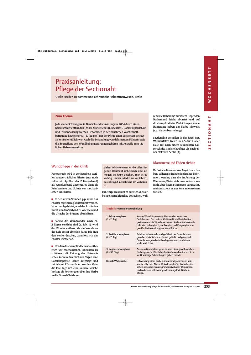 Vorschauseite 1: Praxisanleitung: Pflege der Sectionaht