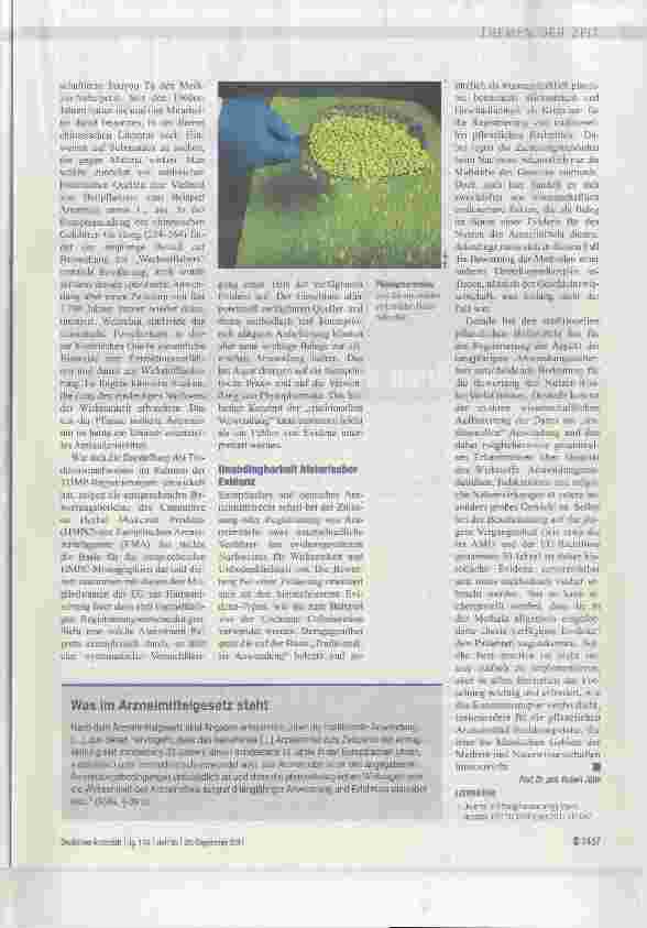 Vorschauseite 2: Historische Evidenz unverzichtbar