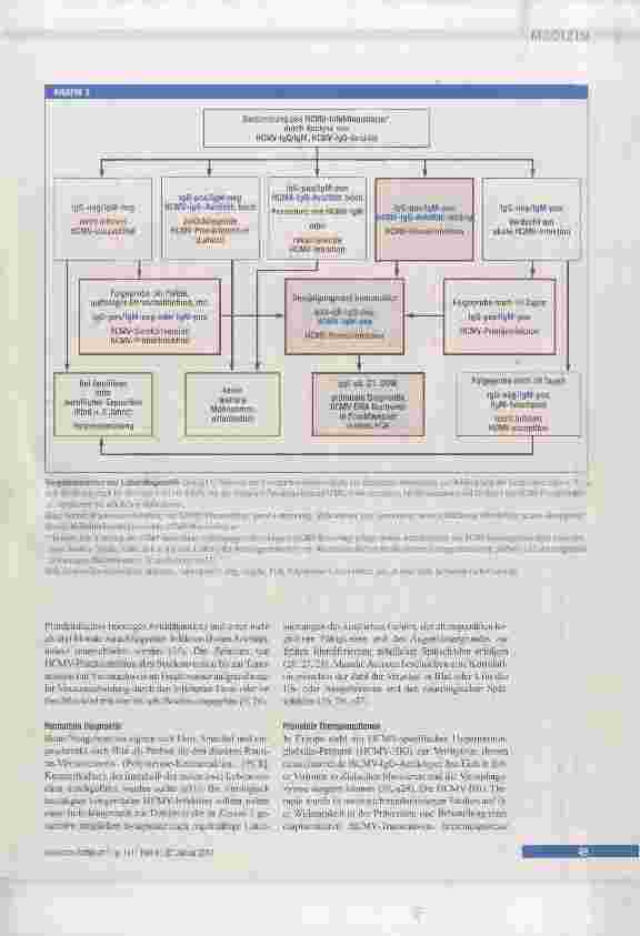 Vorschauseite 5: Zytomegalievirus-Primärinfektion in der Schwangerschaft