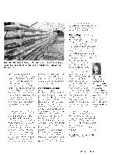 Vorschauseite 4: Nährstoffzufuhr: Ist Fisch ein Muss?
