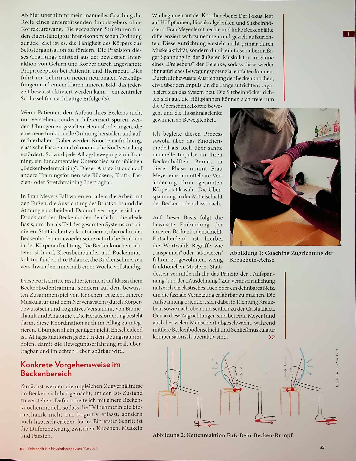 Vorschauseite 2: Der Beckenboden im Kontext von Propriozeption als Grundlage therapeutischer Wirksamkeit