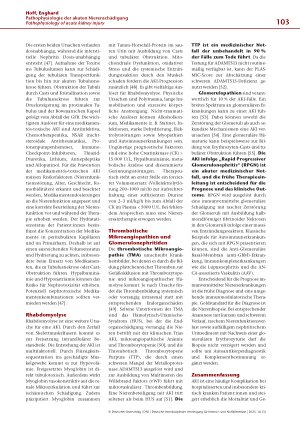 Vorschauseite 5: Pathophysiologie der akuten Nierenschädigung