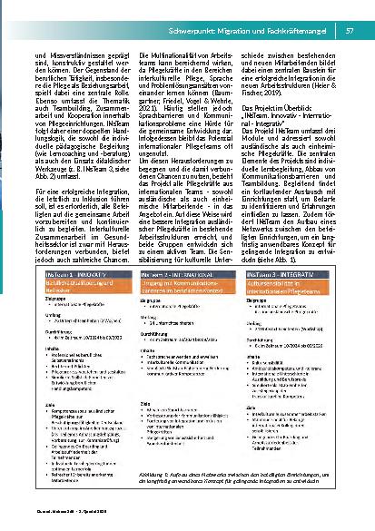 Vorschauseite 2: INnovativ + INternational + INtegrativ = INsTeam Innovative berufliche Qualifizierung zur Integration von ausländischen Pflegekräften und der Entwicklung von internationalen Pfleg…