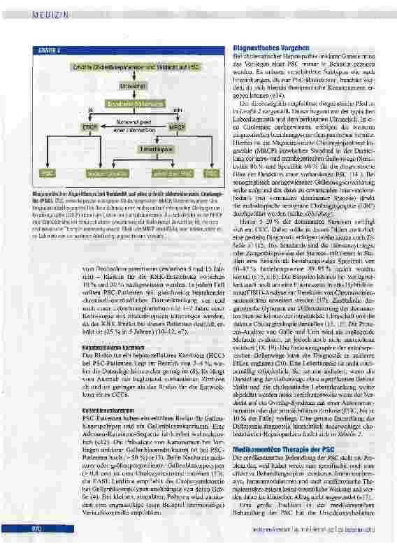 Vorschauseite 4: Primär sklerosierende Cholangitis