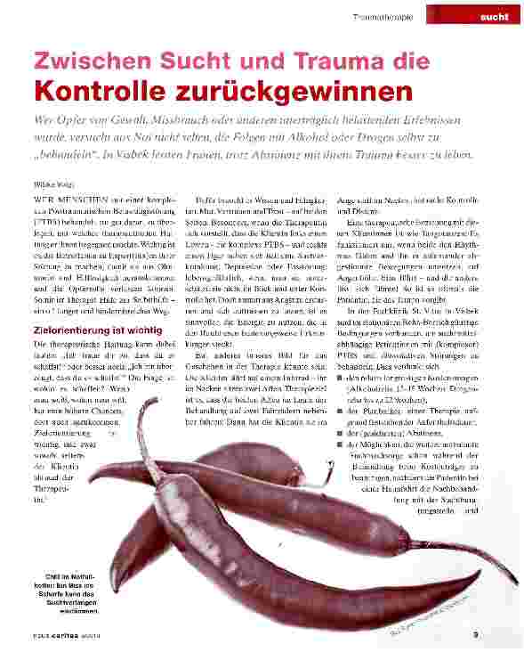 Vorschauseite 1: Zwischen Sucht und Trauma Kontrolle zurückgewinnen