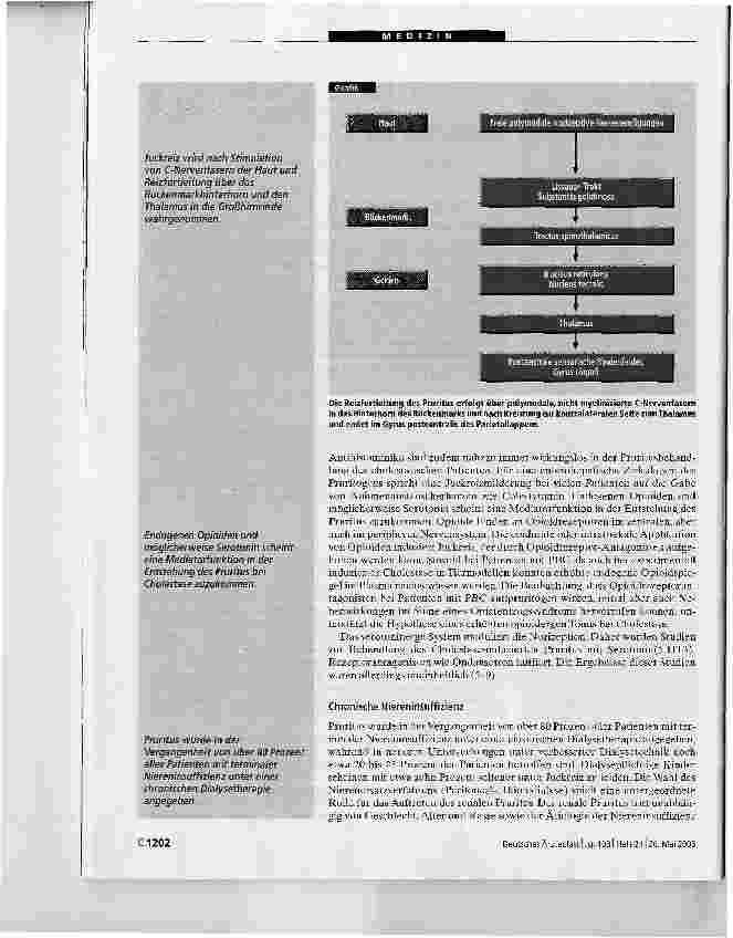 Vorschauseite 3: Leitsymptom Juckreiz