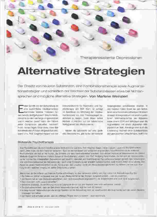 Vorschauseite 1: Alternative Strategien