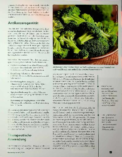 Vorschauseite 4: Außenwirkung Einfluss Sekundärer Pflanzenstoffe auf die Hautgesundheit