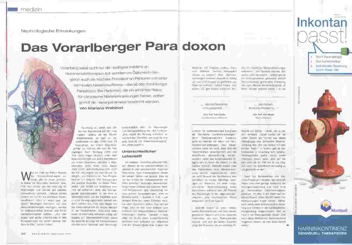 Vorschauseite 1: Das Vorarlberger Paradoxon