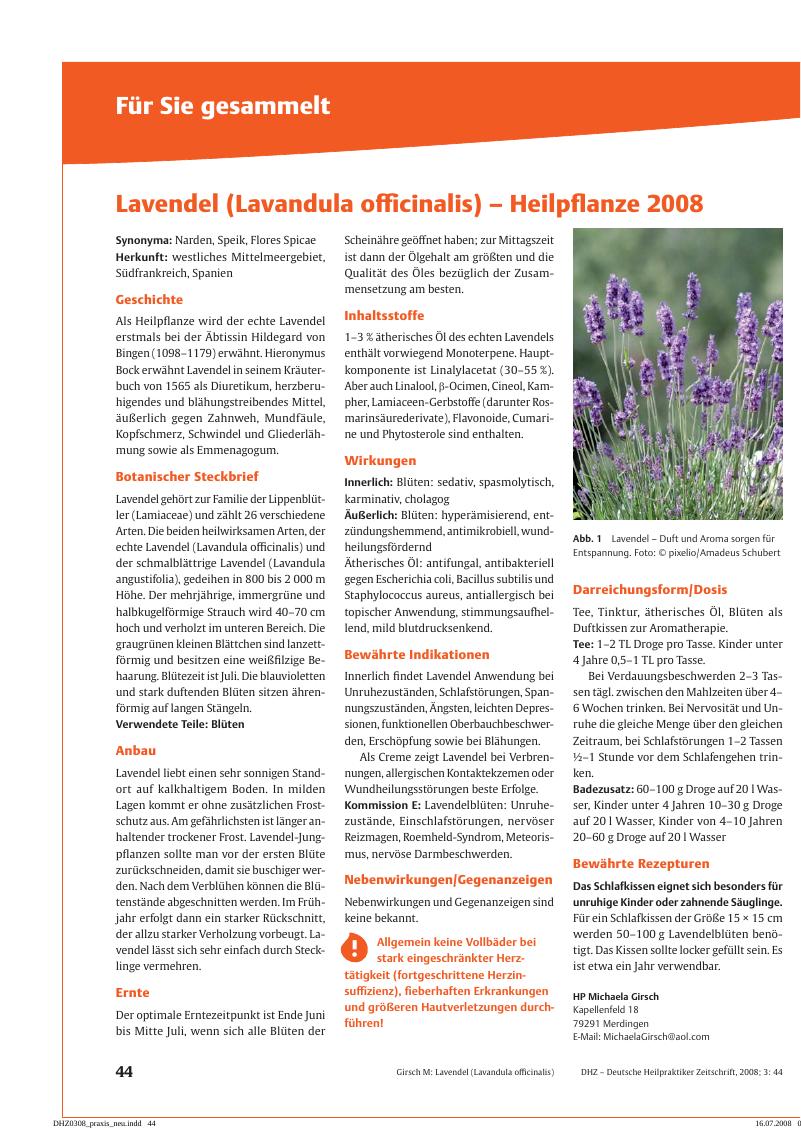 Vorschauseite 1: Lavendel (Lavandula officinalis) – Heilpflanze 2008