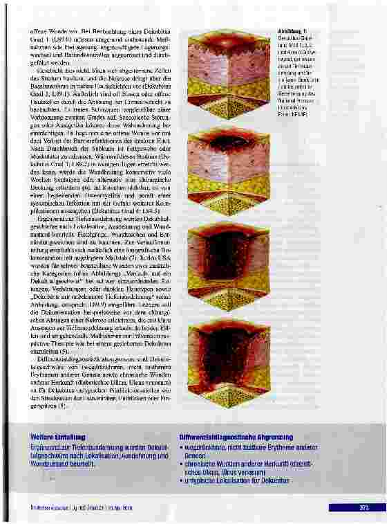 Vorschauseite 3: Dekubitalgeschwüre -Pathophysiolqgie und Primärprävention