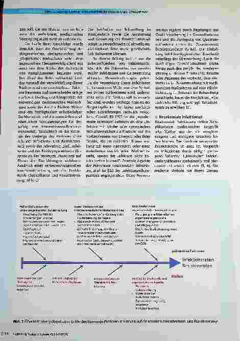 Vorschauseite 2: Herausforderungen und Perspektiven der Beherrschung von nosokomialen Infektionsrisiken: Aufmerksamkeit - Wissen - Verantwortung