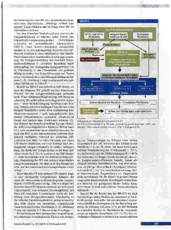 Vorschauseite 3: Diagnostik und Therapiemöglichkeiten bei idiopathischer Lungenfibrose