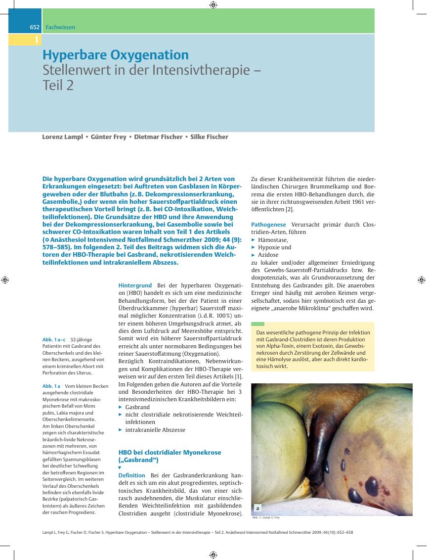 Vorschauseite 1: Hyperbare Oxygenation – Stellenwert in der Intensivtherapie – Teil 2