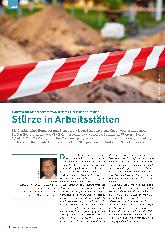 Vorschauseite 1: Stürze in Arbeitsstätten