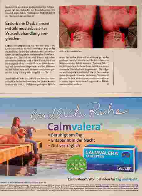 Vorschauseite 4: Neuer Schwung mit japanischer Meridiantherapie