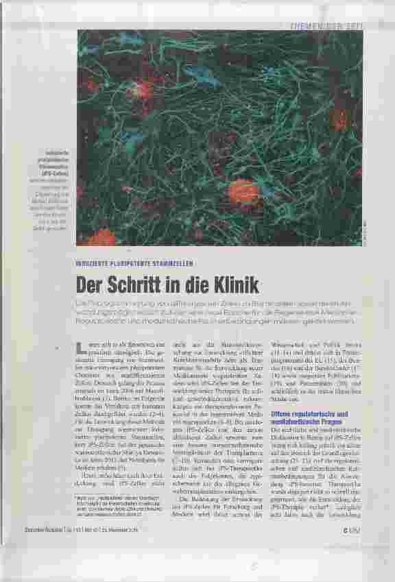 Vorschauseite 1: Der Schritt in die Klinik