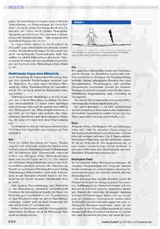 Vorschauseite 3: Blitzunfall -Energieübertragungsmechanismen und medizinische Folgen