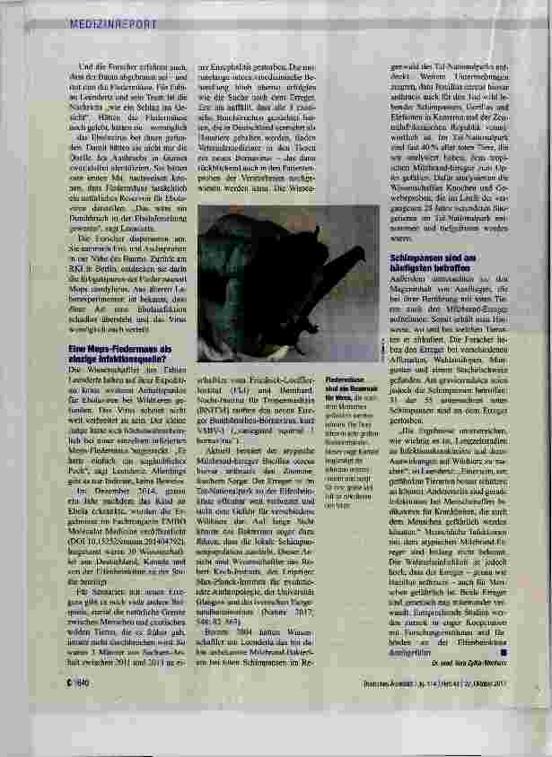 Vorschauseite 2: Akribische Spurensuche