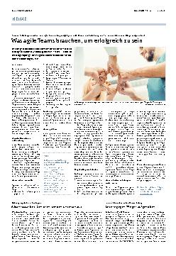 Vorschauseite 1: Was agile Teams brauchen, um erfolgreich zu sein